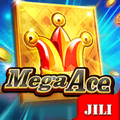 Mega Ace card slot icon